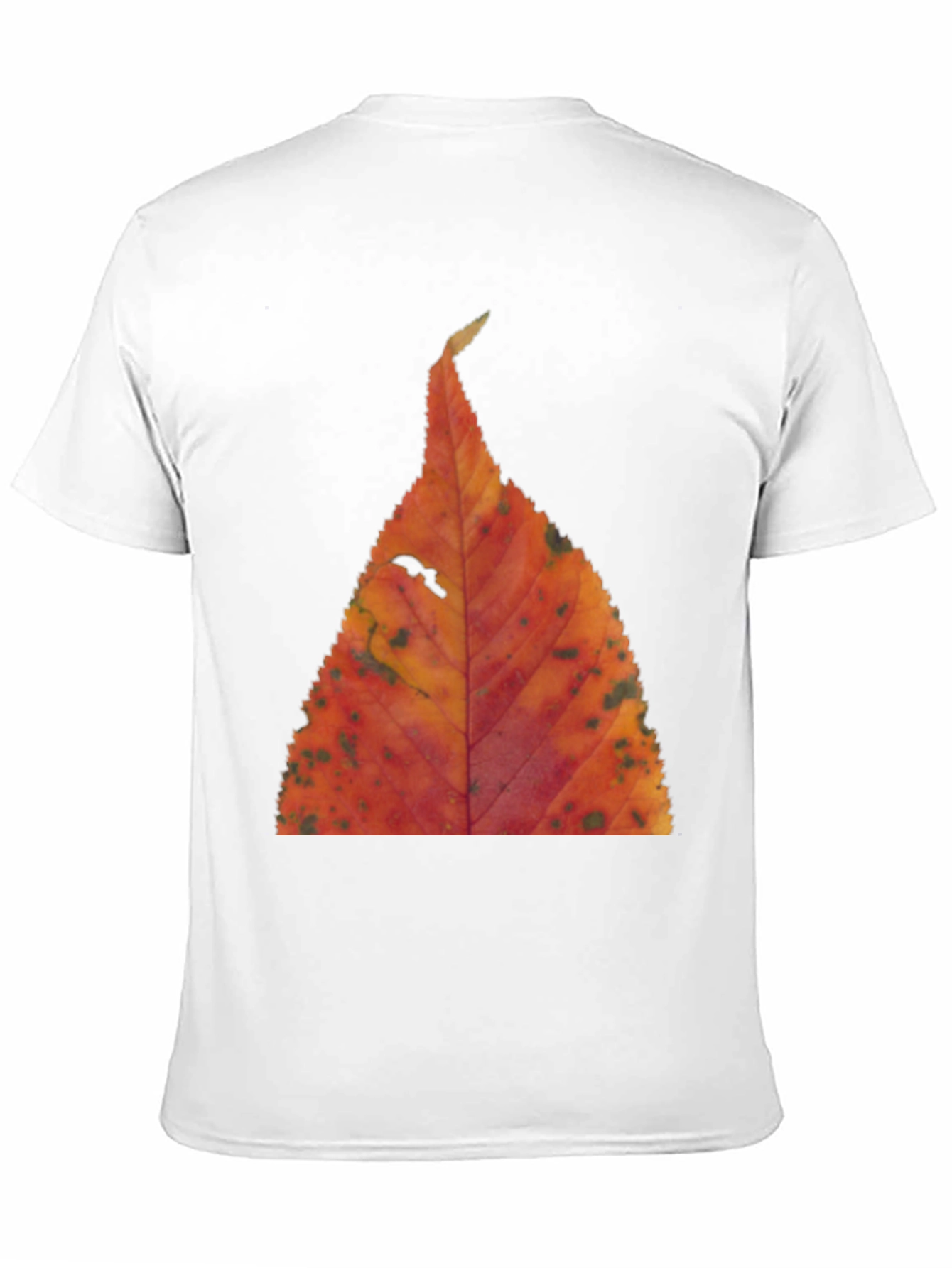 Fall Leaf Print Black T-Shirt