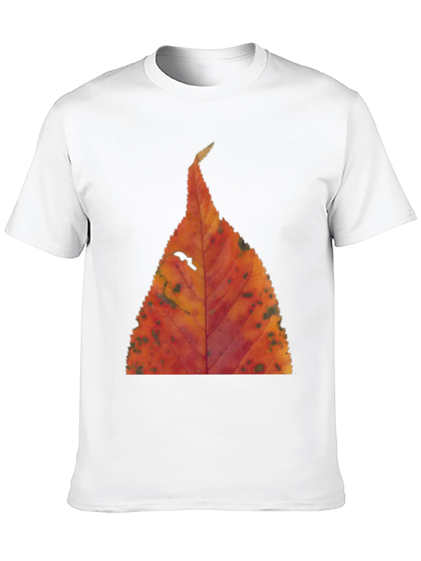 Fall Leaf Print Black T-Shirt