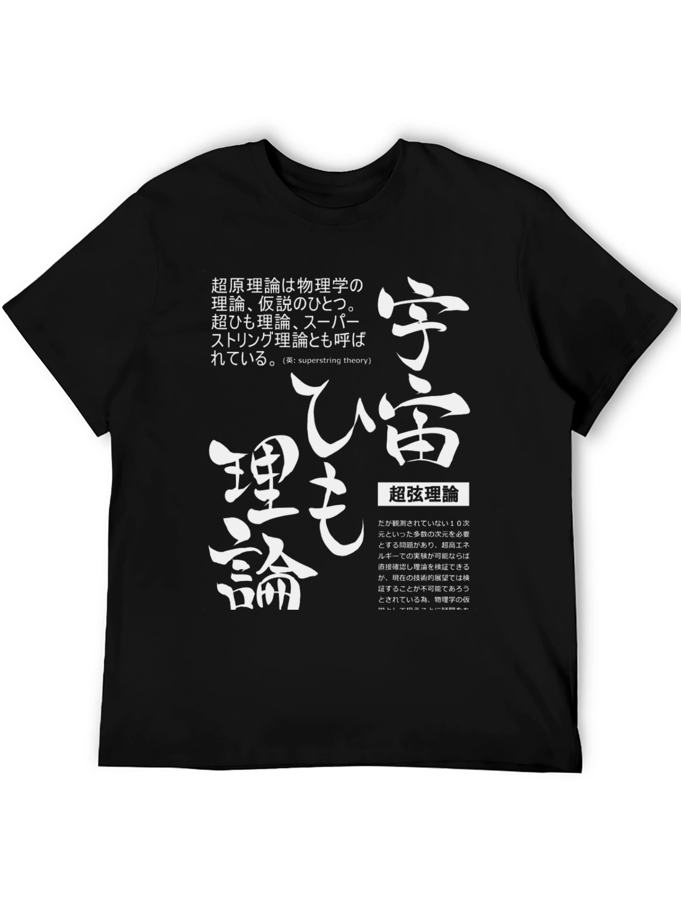 Superstring Theory T-Shirt Japanese Text