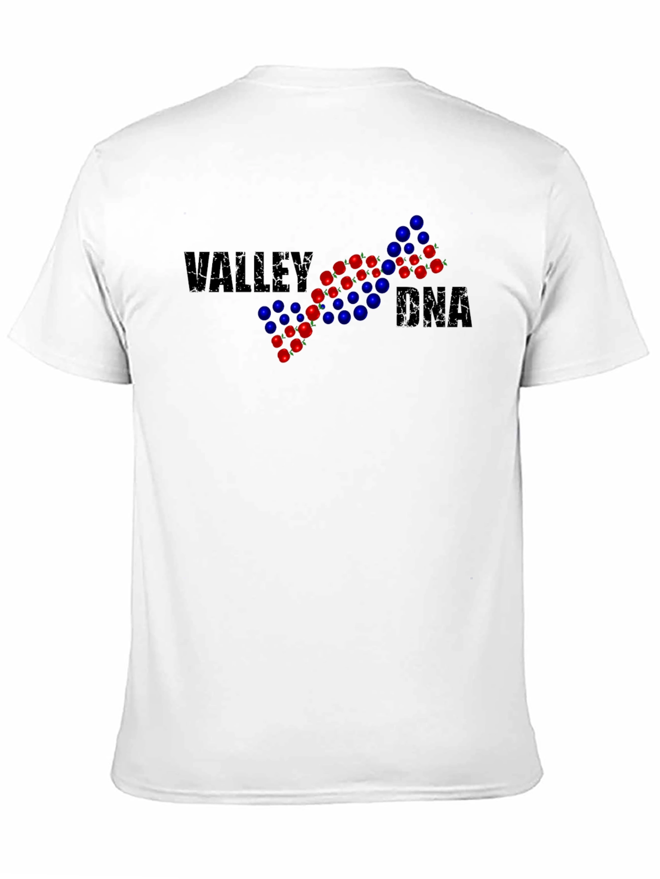 Valley DNA Graphic Tee - Cool Science Design