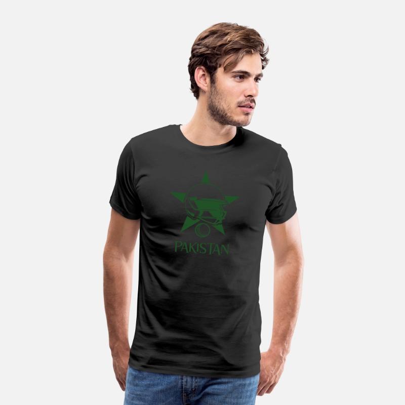 Pakistan Cricket Team Fan