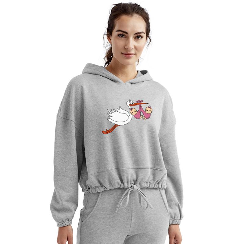 Stork Twins Baby Babies Girls Pregnancy Daughters