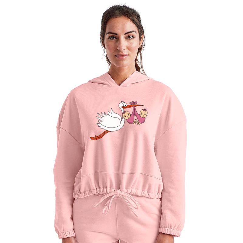 Stork Twins Baby Babies Girls Pregnancy Daughters