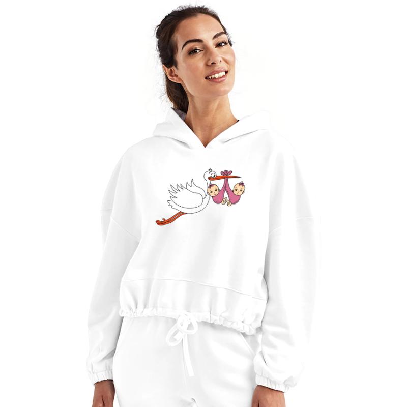 Stork Twins Baby Babies Girls Pregnancy Daughters