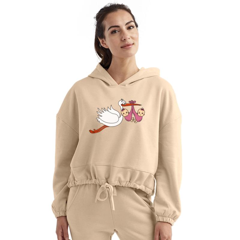 Stork Twins Baby Babies Girls Pregnancy Daughters