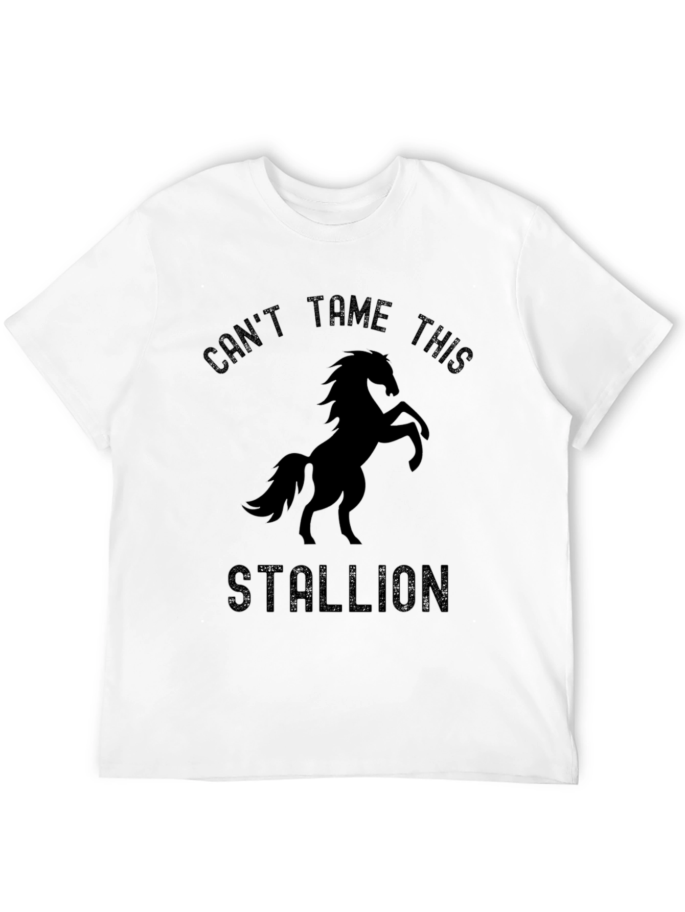 Cant Tame This Stallion Graphic T-Shirt