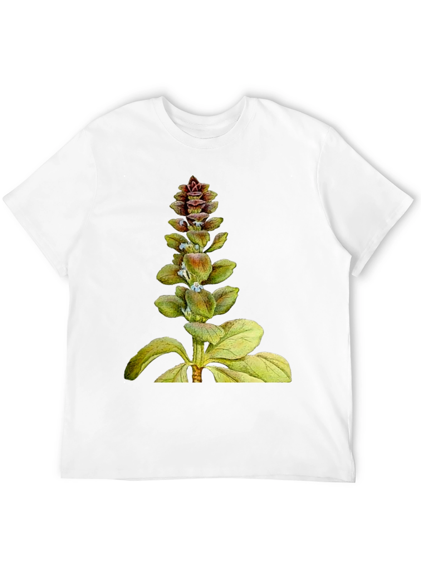 Botanical Plant Graphic T-Shirt