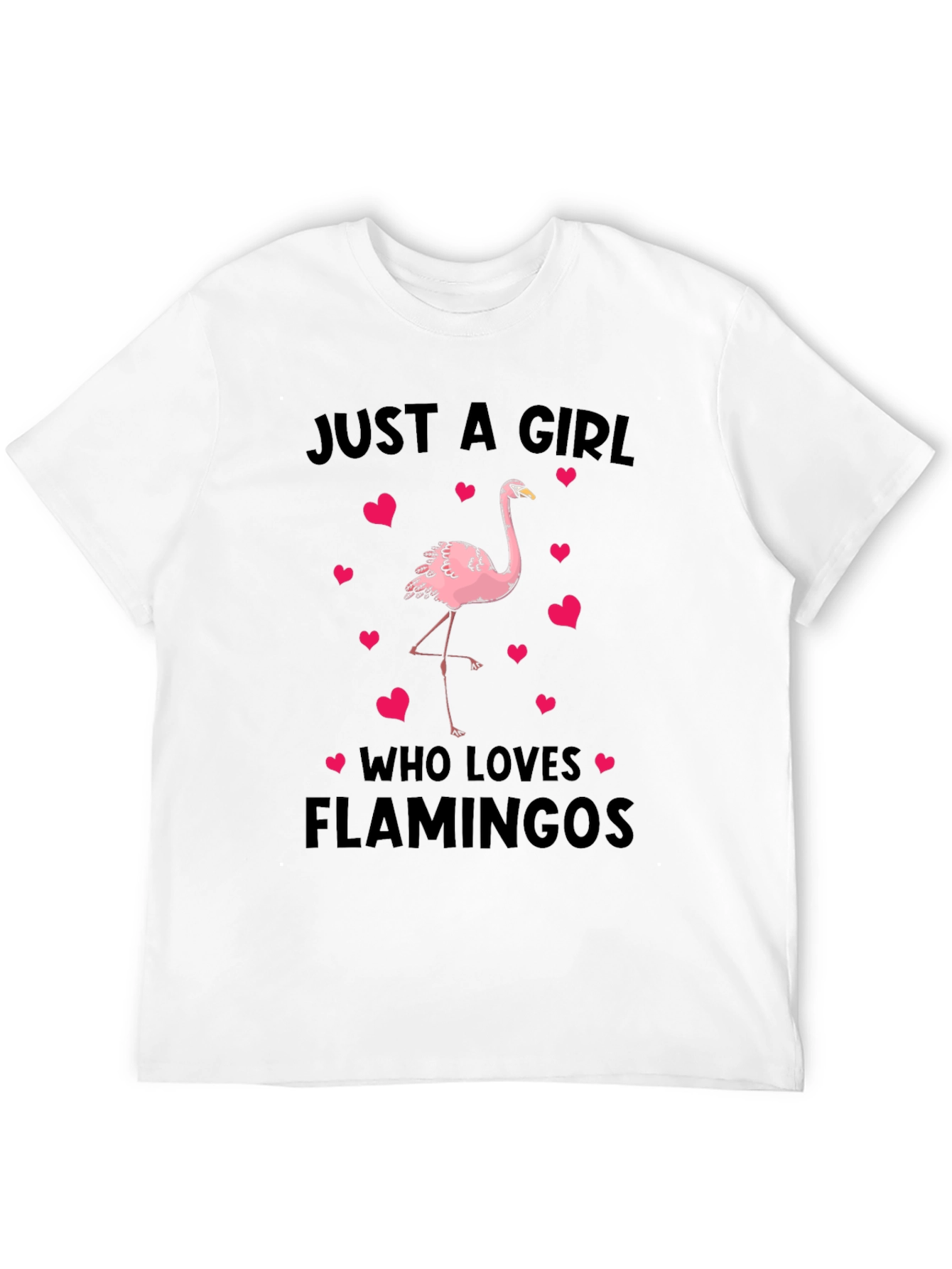 Just A Girl Who Loves Flamingos T-Shirt