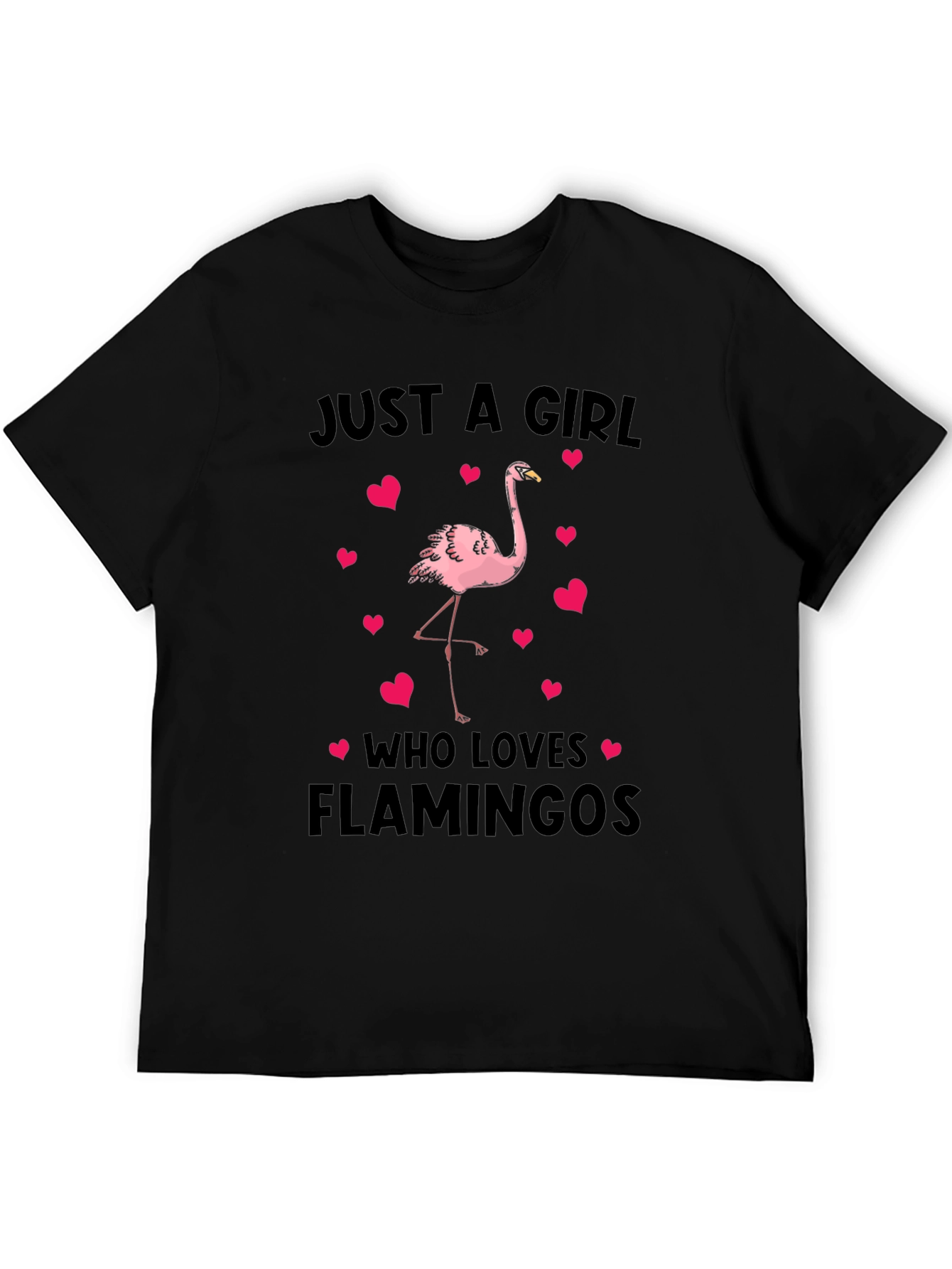 Just A Girl Who Loves Flamingos T-Shirt