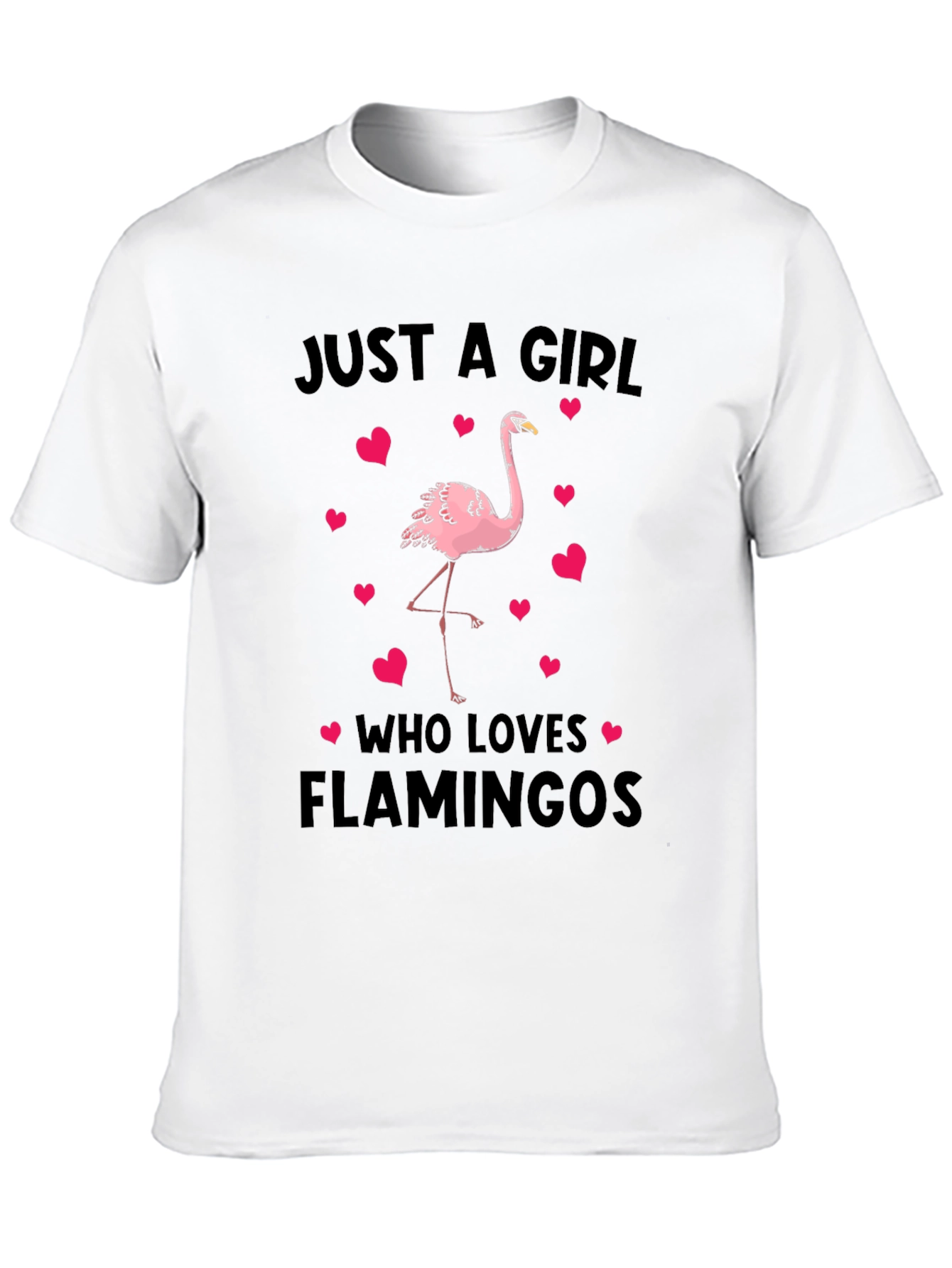 Just A Girl Who Loves Flamingos T-Shirt