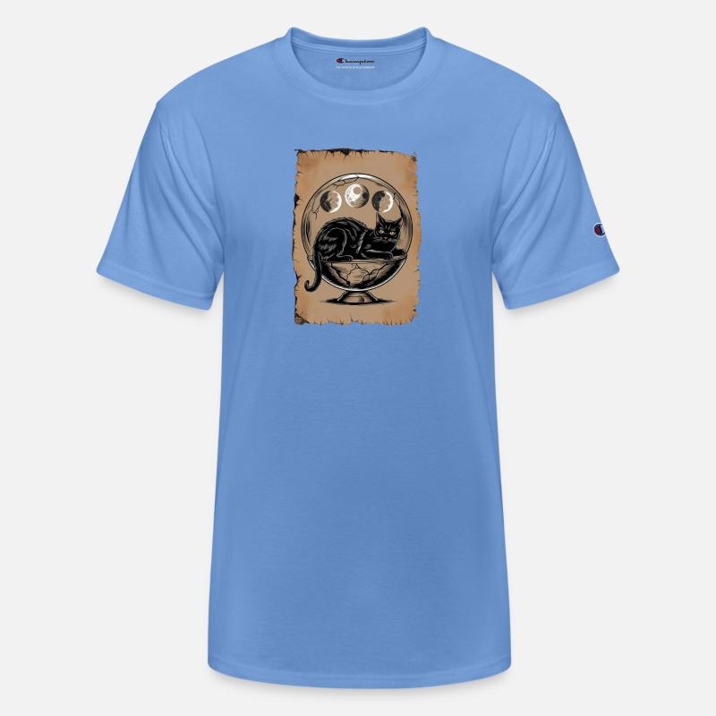 Witch Cat Feline Moons