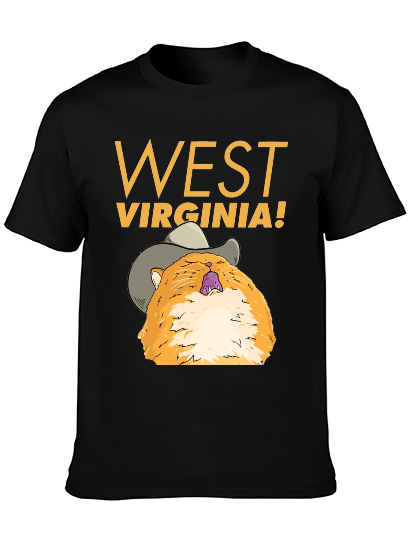 West Virginia Cat Cowboy Graphic Tee