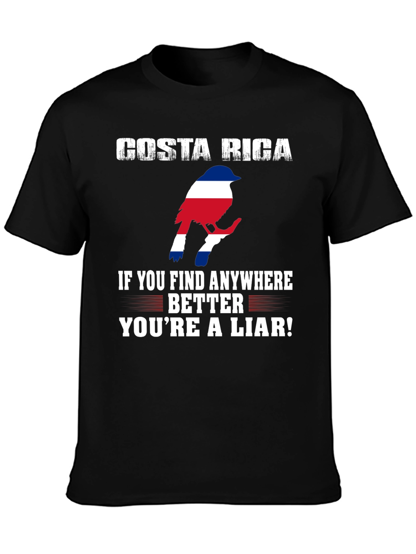 Costa Rica Bird Graphic Tee - Find Anywhere Better!